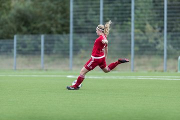 Bild 84 - F FSG Kaltenkirchen - SV Wahlstedt : Ergebnis: 6:1